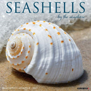 Seashells 2027 Wall By Willow Creek Press