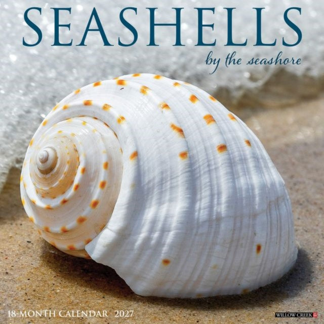 Seashells 2027 Wall By Willow Creek Press