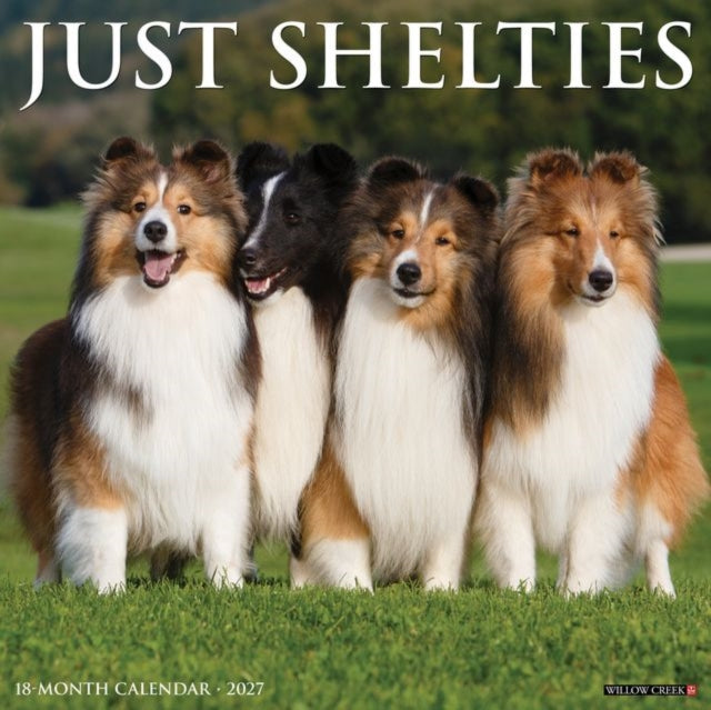 Shelties 2027 Wall By Willow Creek Press