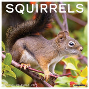 Squirrels 2027 Wall By Willow Creek Press