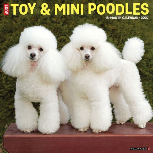 Toy Miniature Poodles 2027 Wall By Willow Creek Press