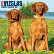 Vizslas 2027 Wall By Willow Creek Press