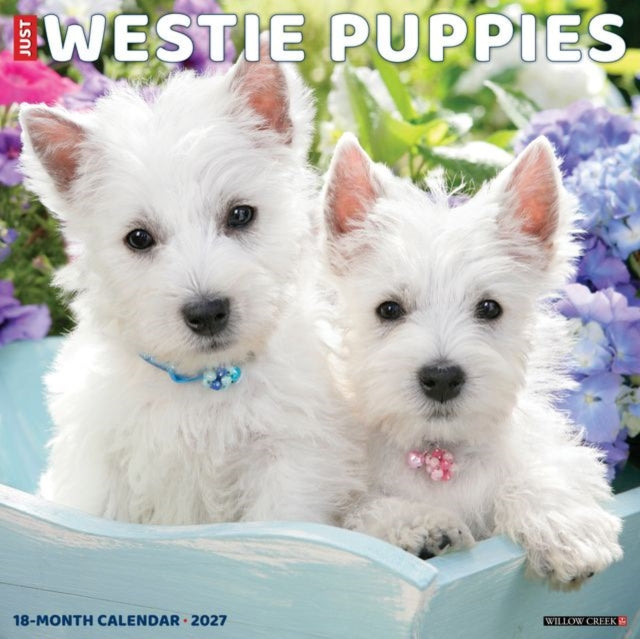 Westie Puppies 2027 Wall By Willow Creek Press
