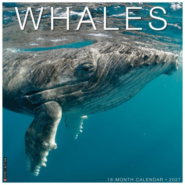 Whales 2027 Wall By Willow Creek Press