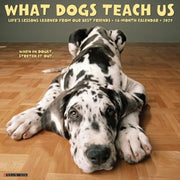 What Dogs Teach Us 2027 Wall By Willow Creek Press