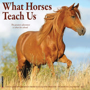 What Horses Teach Us 2027 Wall By Willow Creek Press