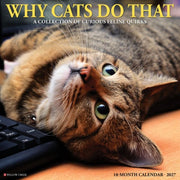 Why Cats Do That 2027 Wall By Willow Creek Press