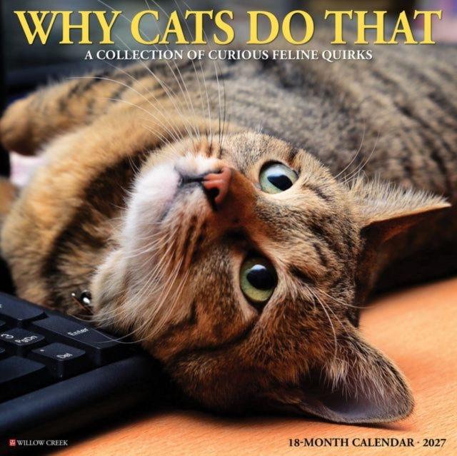 Why Cats Do That 2027 Wall By Willow Creek Press