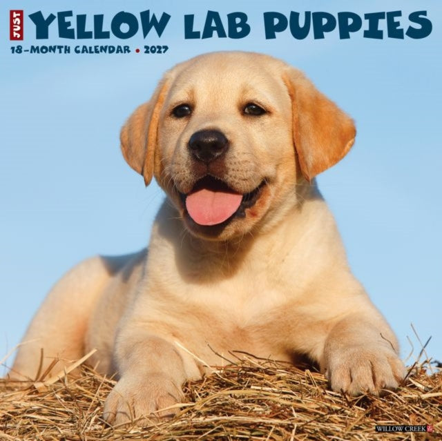 Yellow Lab Puppies 2027 Wall By Willow Creek Press