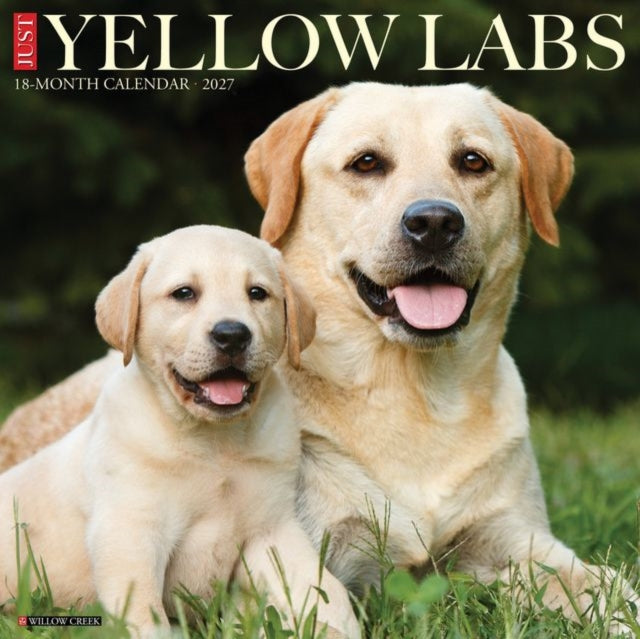 Yellow Labs 2027 Wall By Willow Creek Press