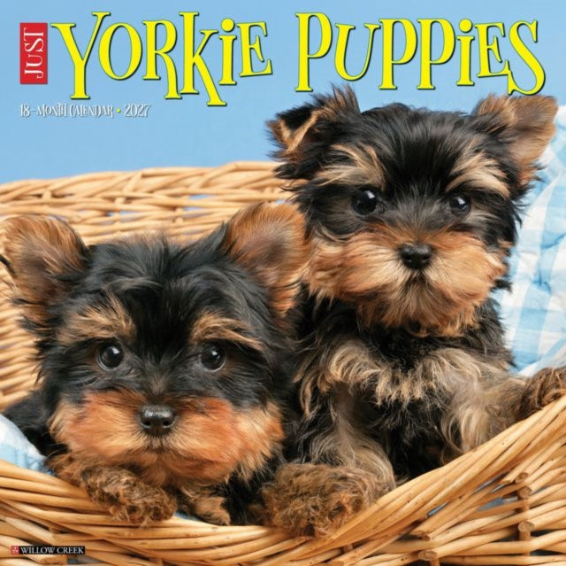 Yorkie Puppies 2027 Wall By Willow Creek Press