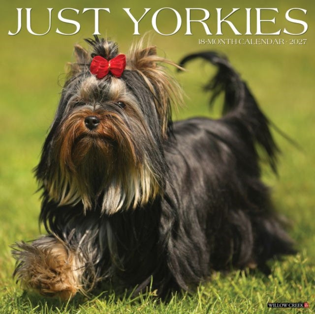Yorkies 2027 Wall By Willow Creek Press