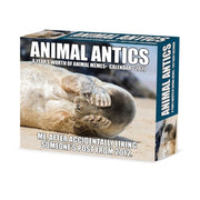Animal Antics 2027 Box By Willow Creek Press