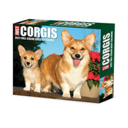 Corgis 2027 Box By Willow Creek Press