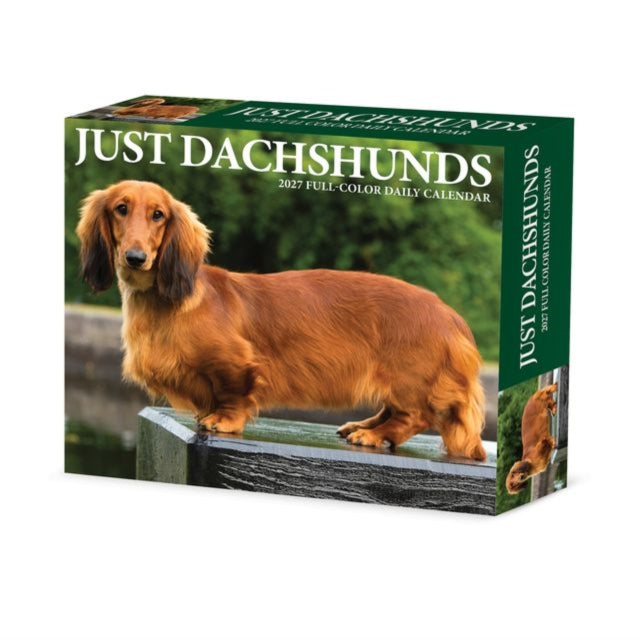 Dachshunds 2027 Box By Willow Creek Press