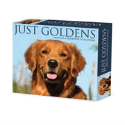 Goldens 2027 Box By Willow Creek Press