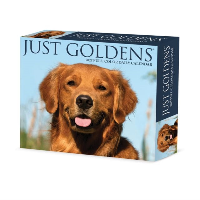 Goldens 2027 Box By Willow Creek Press