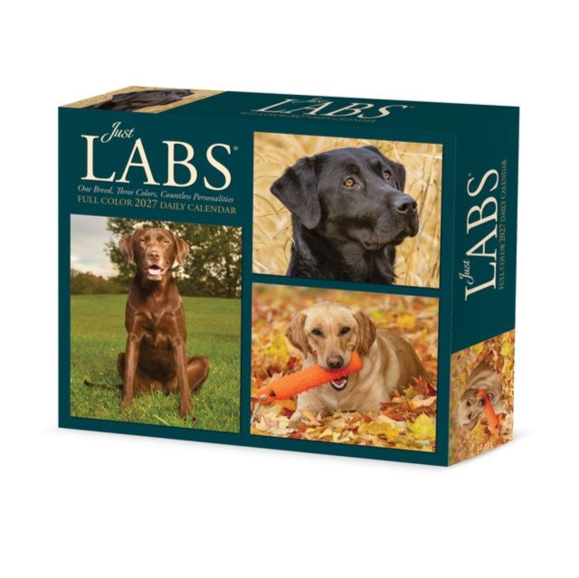 Labs 2027 Box By Willow Creek Press