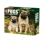 Pugs 2027 Box By Willow Creek Press