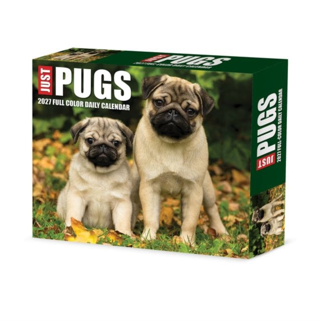 Pugs 2027 Box By Willow Creek Press
