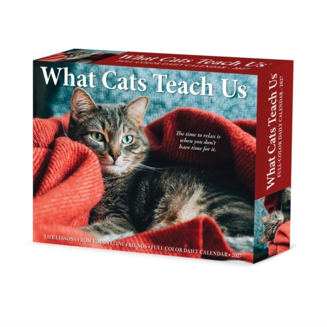 What Cats Teach Us 2027 Box By Willow Creek Press