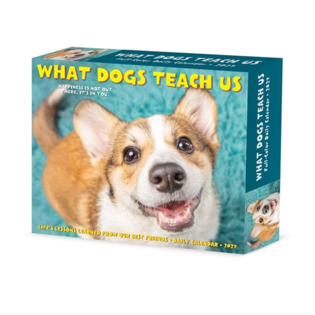 What Dogs Teach Us 2027 Box By Willow Creek Press