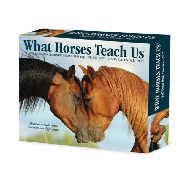 What Horses Teach Us 2027 Box By Willow Creek Press