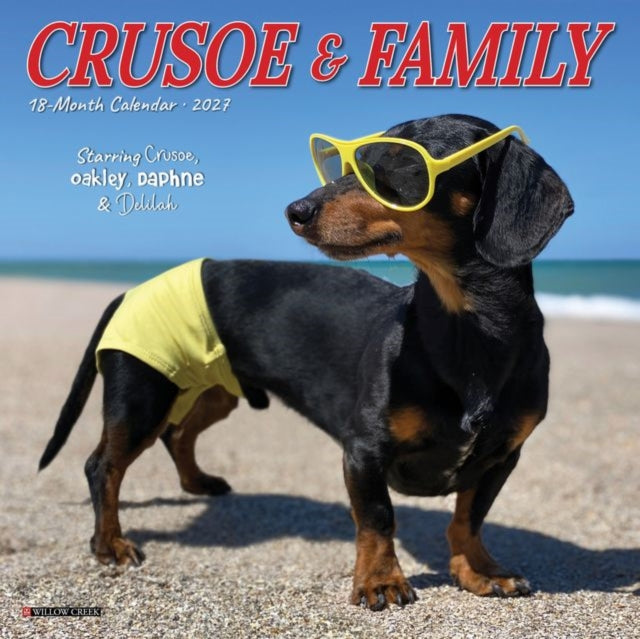 Crusoe Friends 2027 Mini By Willow Creek Press