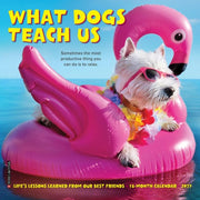 What Dogs Teach Us 2027 Mini By Willow Creek Press