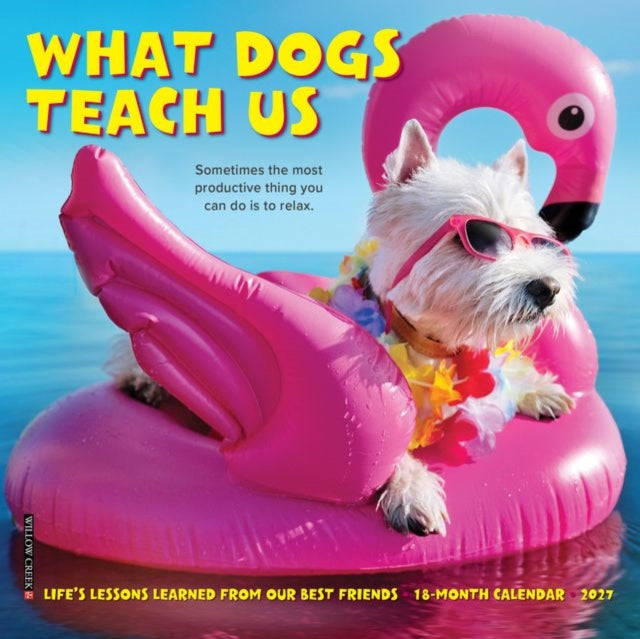 What Dogs Teach Us 2027 Mini By Willow Creek Press