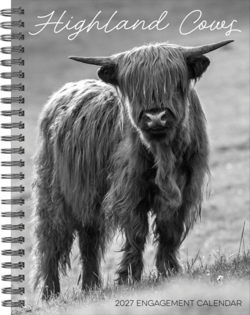 Highland Cows 2027 Engagement By Willow Creek Press
