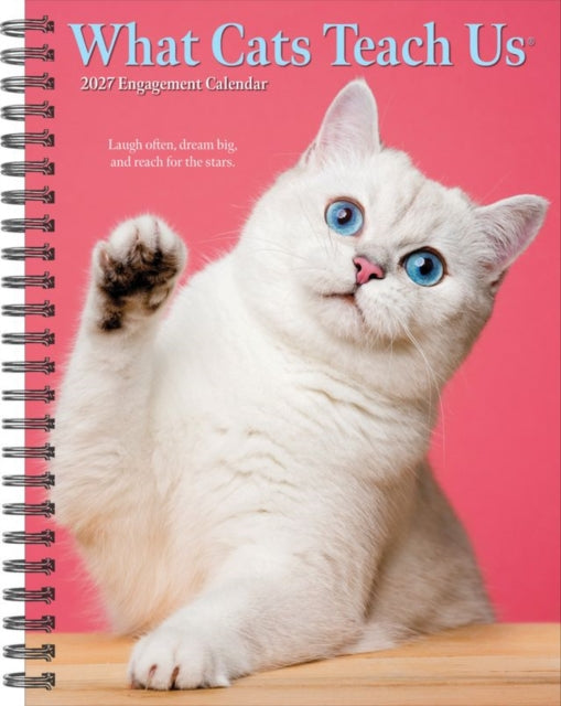 What Cats Teach Us 2027 Engagement By Willow Creek Press