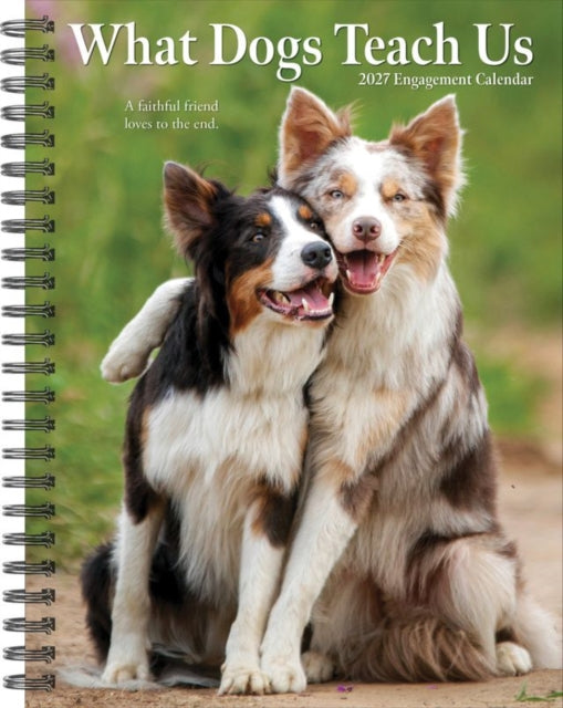 What Dogs Teach Us 2027 Engagement By Willow Creek Press