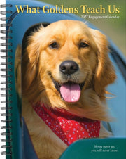 What Goldens Teach Us 2027 Engagement By Willow Creek Press