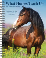 What Horses Teach Us 2027 Engagement By Willow Creek Press