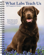 What Labs Teach Us 2027 Engagement By Willow Creek Press