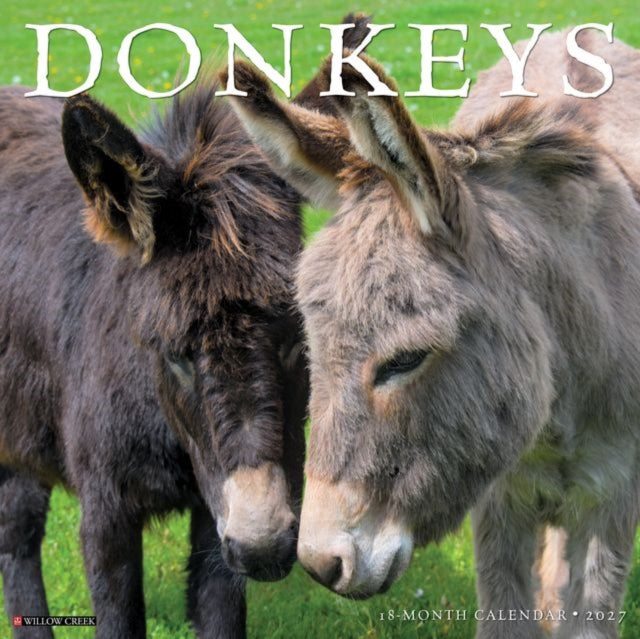 Donkeys 2027 Wall By Willow Creek Press