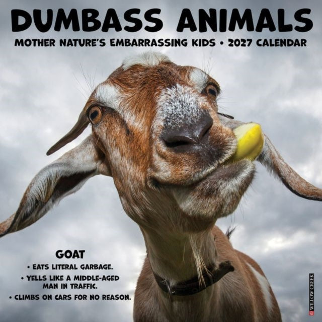 Dumbass Animals 2027 Wall By Willow Creek Press