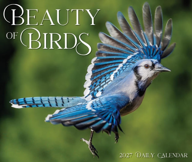 Beauty Of Birds 2027 Box By Willow Creek Press