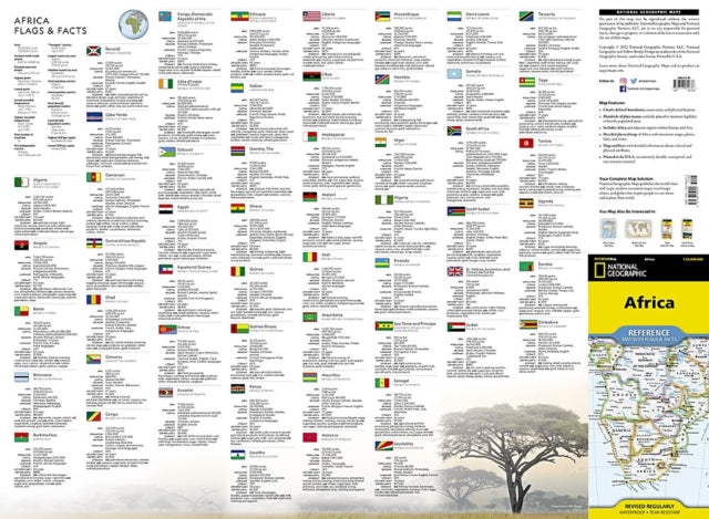 Africa Flags Facts 124m
