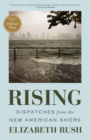 Rising Dispatches New American Shore P