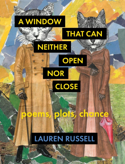 Window That Can Neither Open Nor Close
