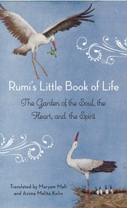 Rumis Little Book Of Life By Mafi, Maryam (trans)