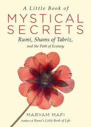 Little Book Of Mystical Secrets