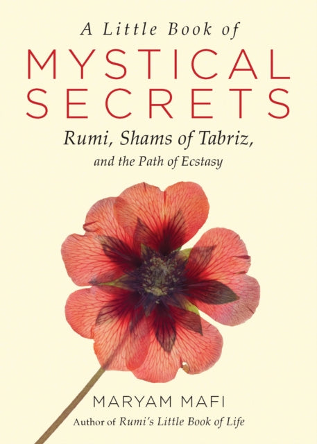 Little Book Of Mystical Secrets