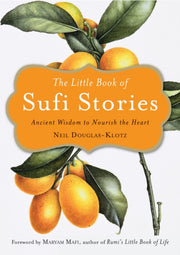 Little Book Of Sufi Stories By Douglas-klotz, Neil