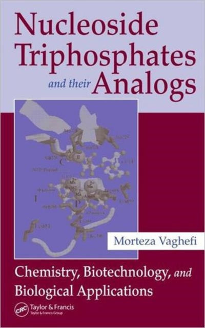 Nucleoside Triphosphates & Their Analogs