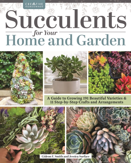 Succulents For Your Home & Garden