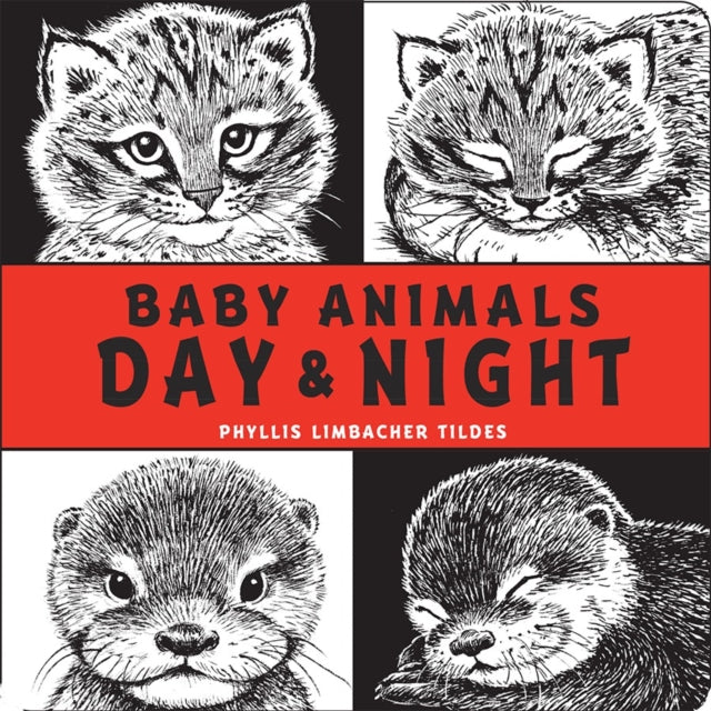 Baby Animals Day Night