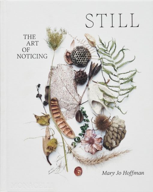 Still The Art Of Noticing